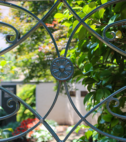 صورة لحديقة فالنتين جاكسون